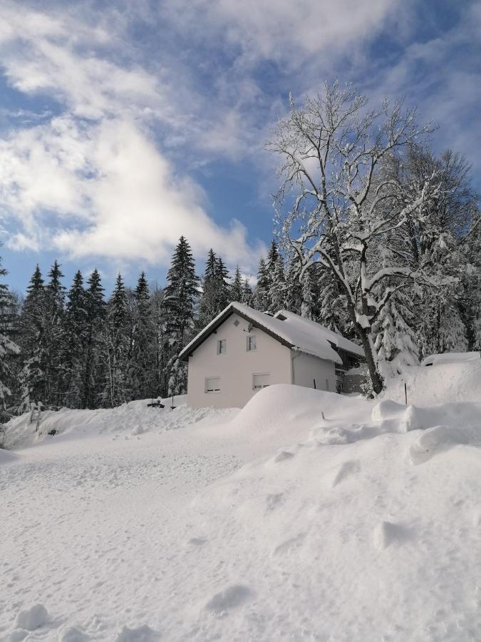 Ferienhaus Ploeckenstein Schwarzenberg am Bohmerwald Exterior photo
